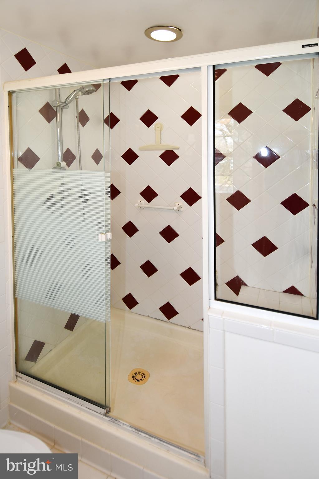 6 Beechvue Court Silver Spring, MD 20906 - Photo 26 of 42 Primary bathroom