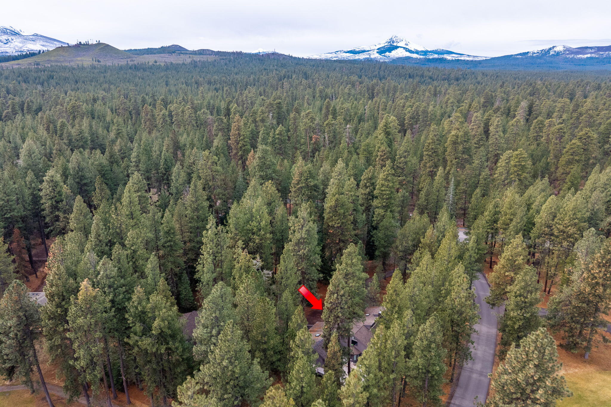 13168 Hawks Beard Black Butte Ranch, OR 97759 - Photo 45 of 47