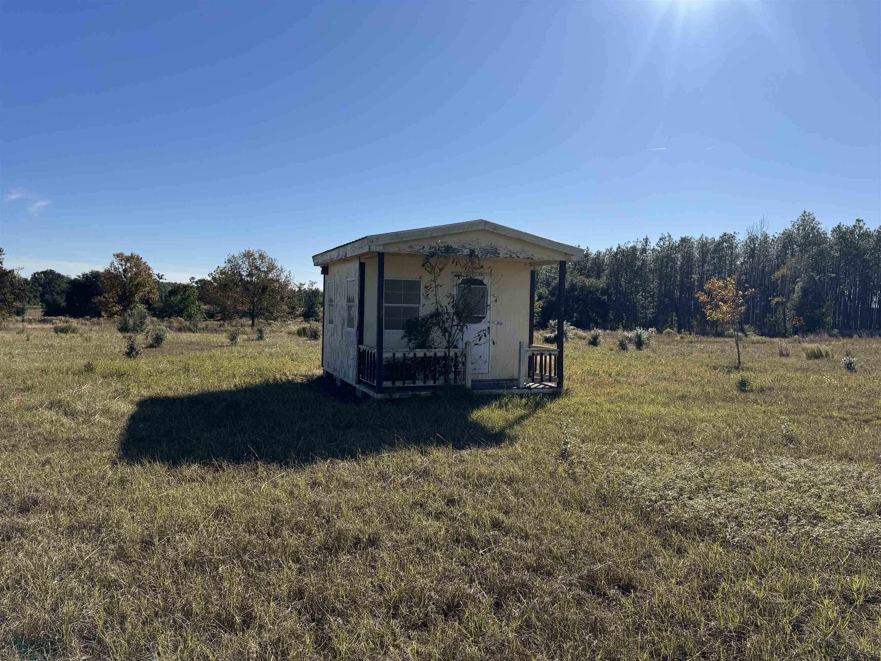 4862 Northeast Bellville Road Pinetta, FL 32350 - Photo 17 of 37