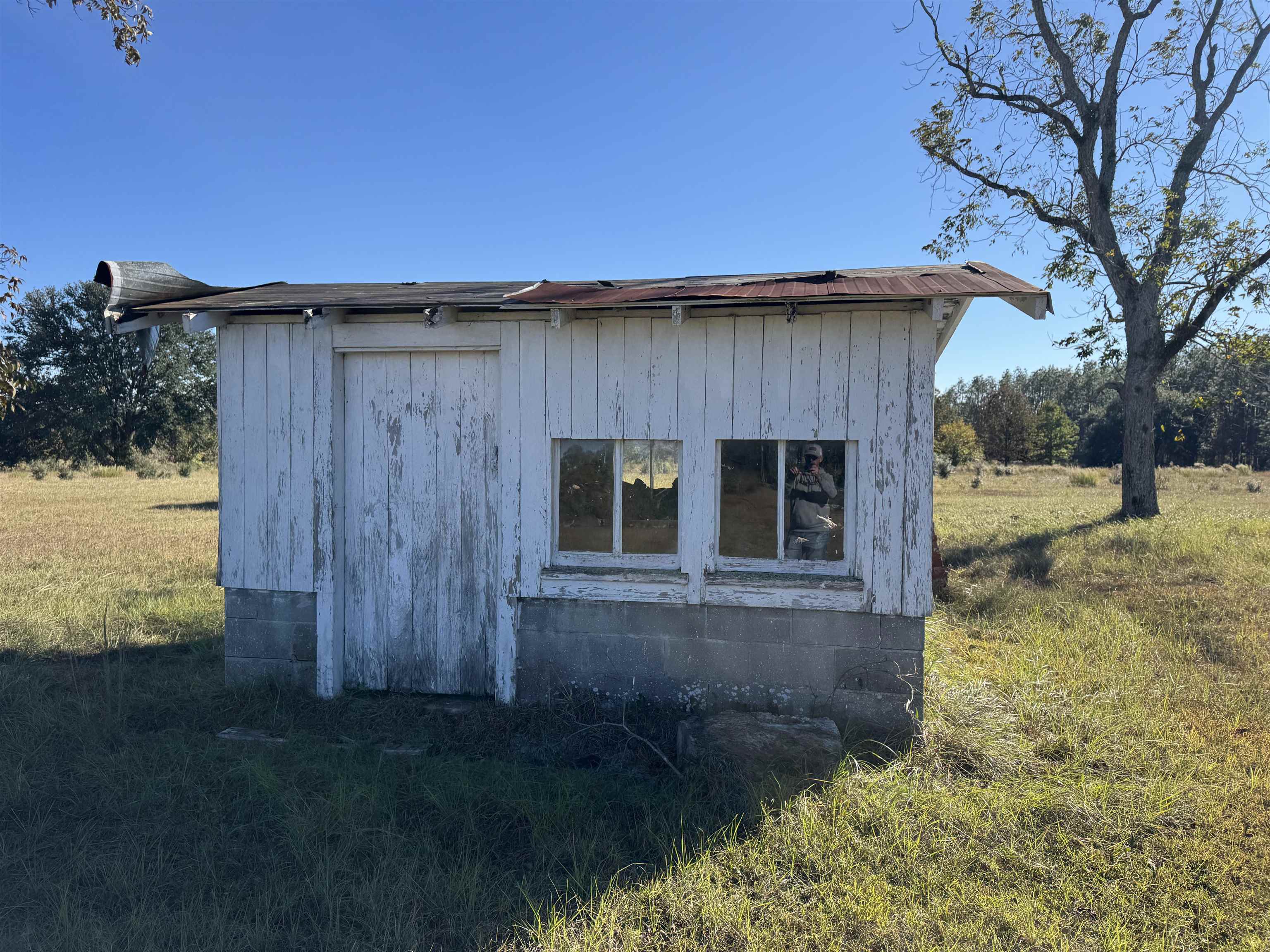 4862 Northeast Bellville Road Pinetta, FL 32350 - Photo 19 of 37