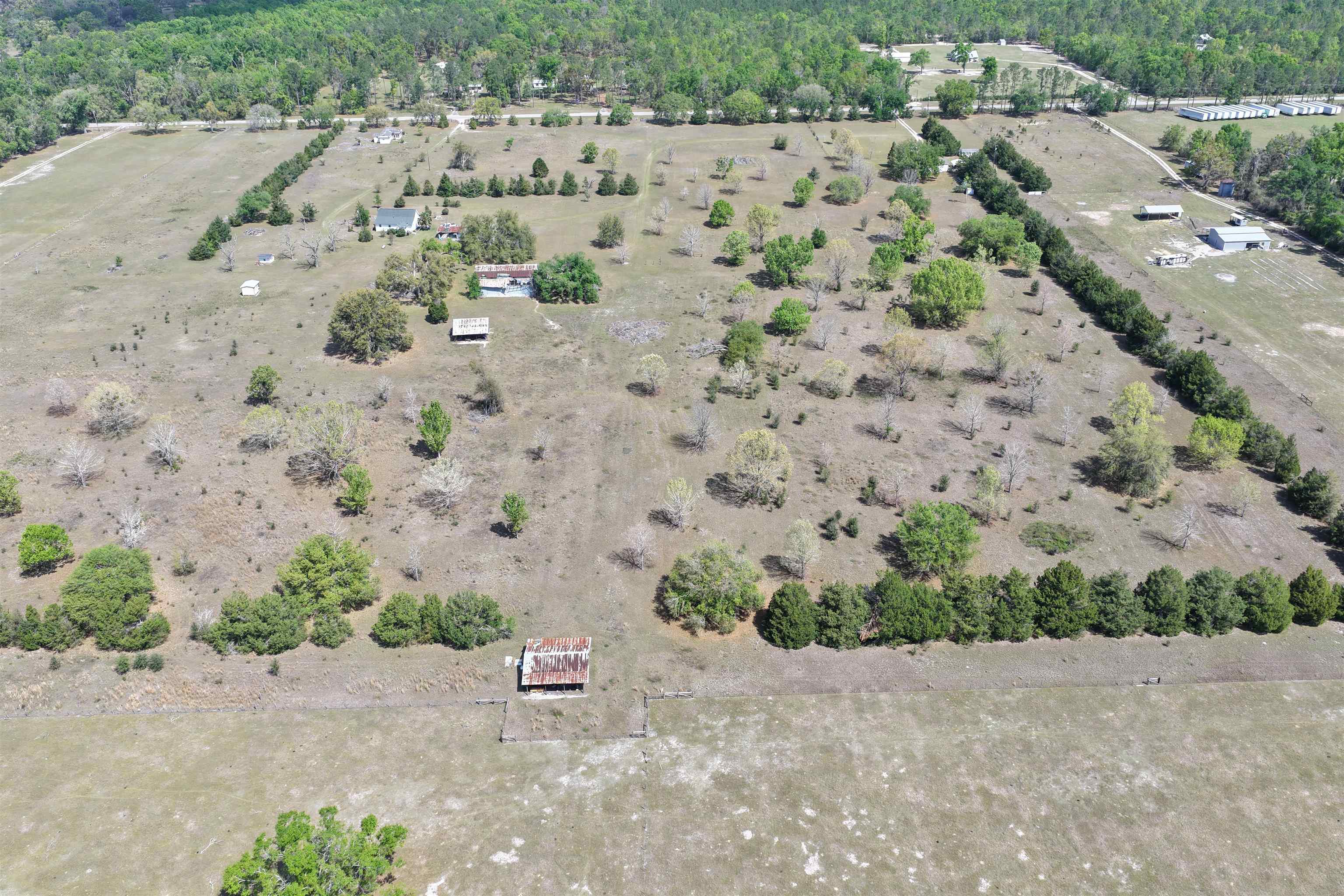 4862 Northeast Bellville Road Pinetta, FL 32350 - Photo 3 of 44