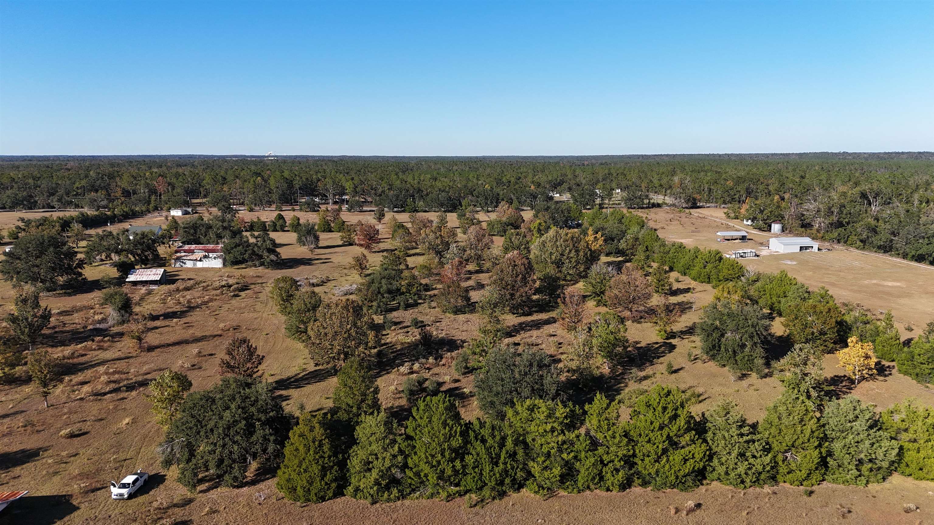 4862 Northeast Bellville Road Pinetta, FL 32350 - Photo 31 of 37