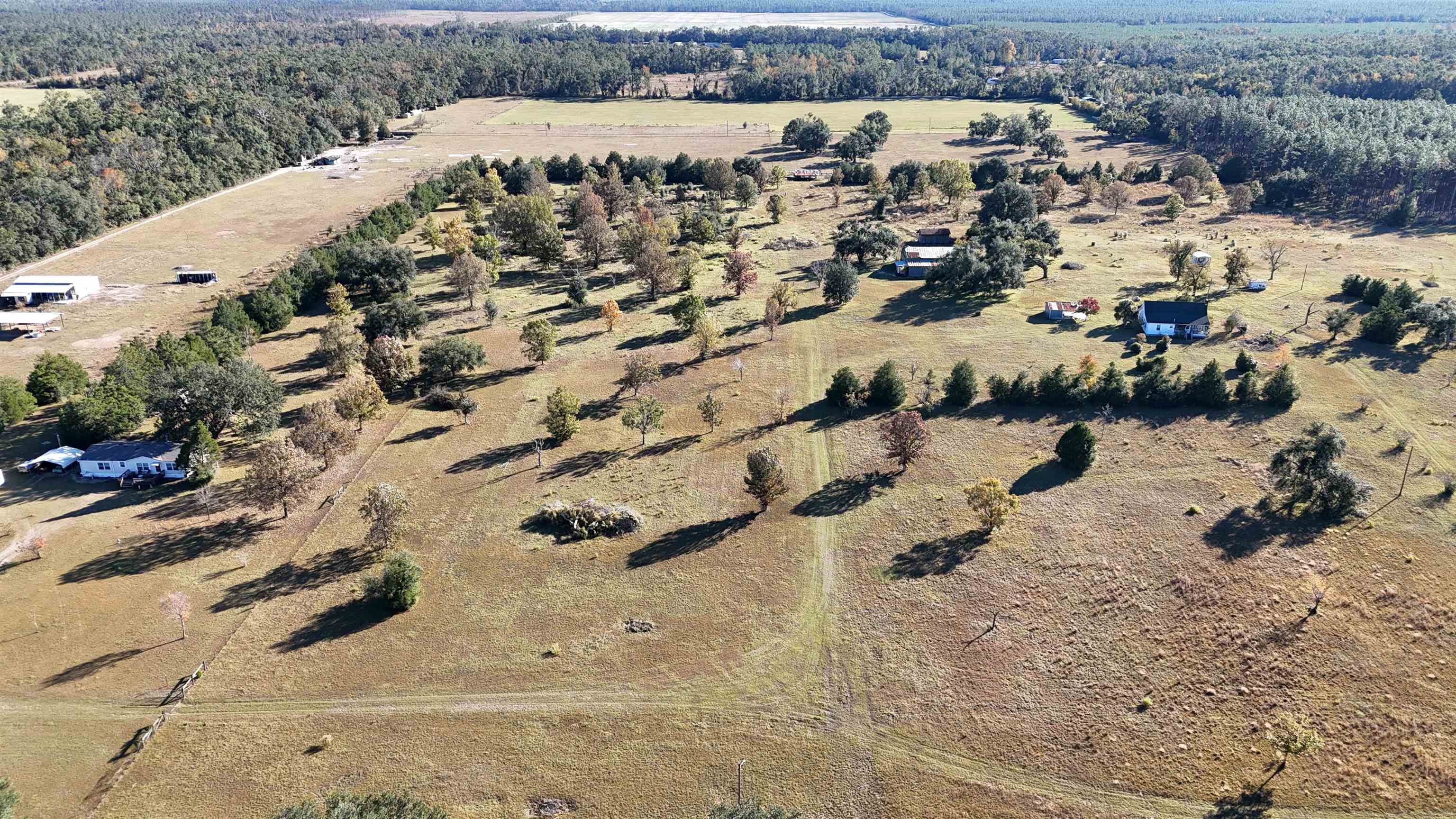 4862 Northeast Bellville Road Pinetta, FL 32350 - Photo 32 of 37