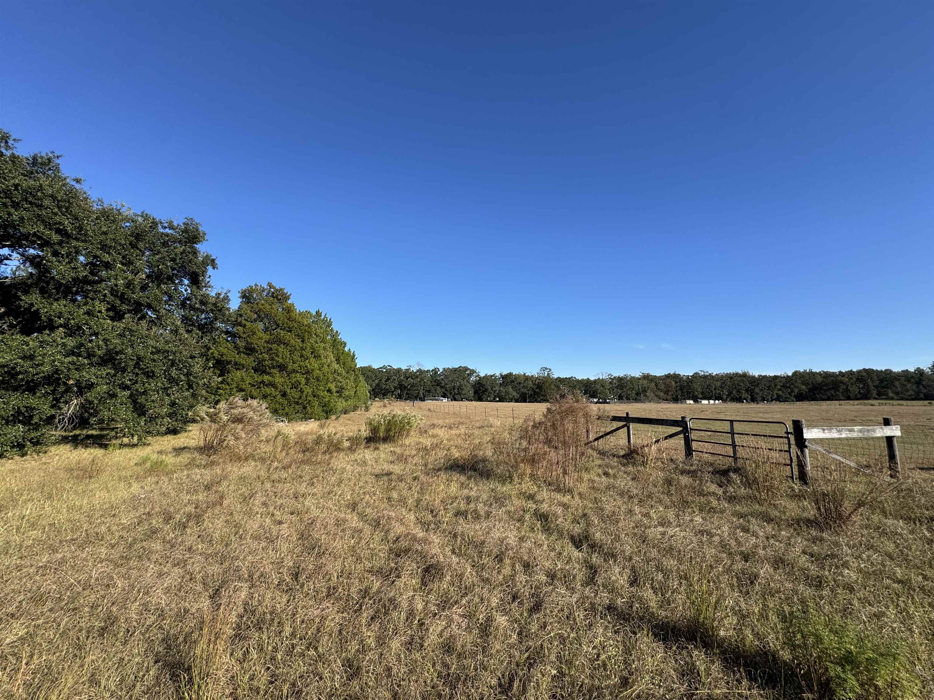 4862 Northeast Bellville Road Pinetta, FL 32350 - Photo 34 of 37