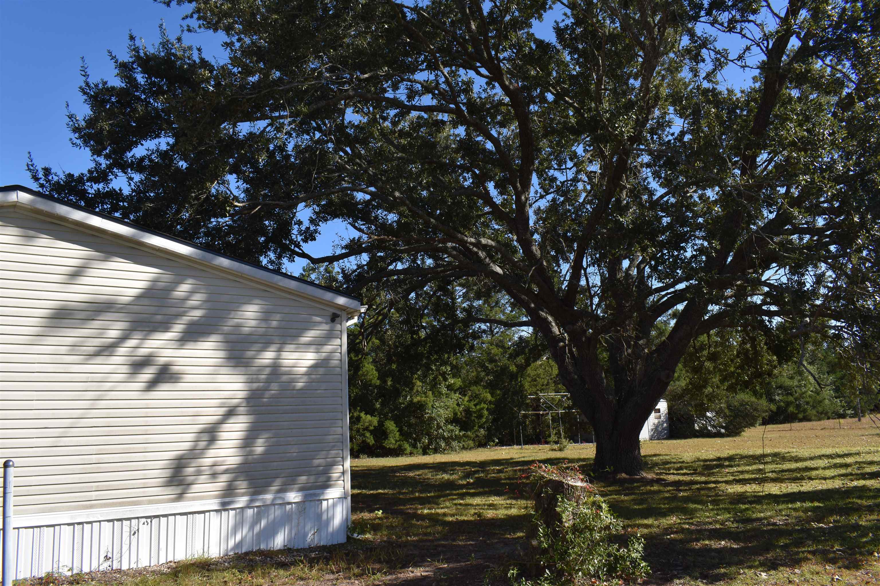 4862 Northeast Bellville Road Pinetta, FL 32350 - Photo 43 of 44