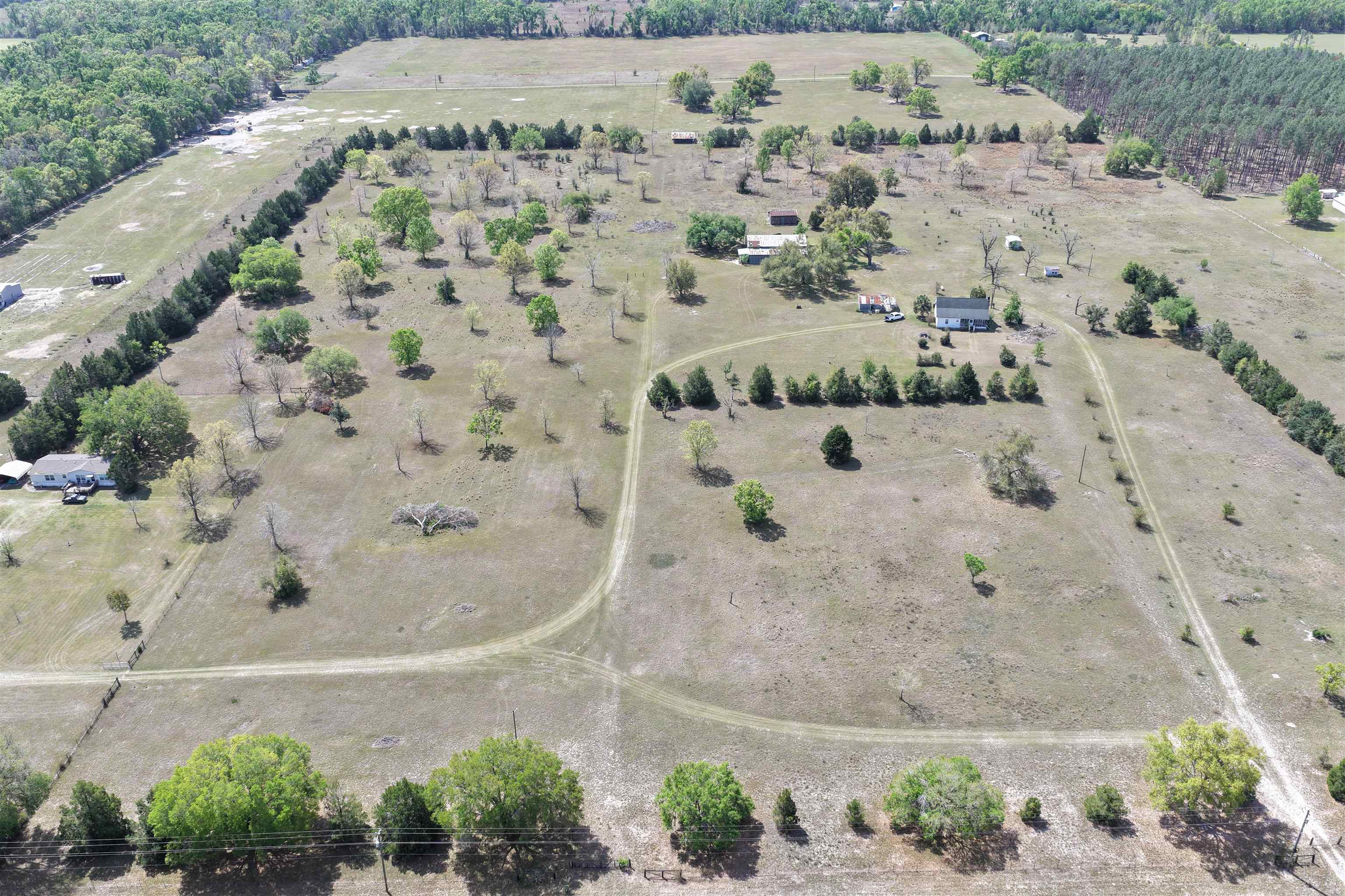 4862 Northeast Bellville Road Pinetta, FL 32350 - Photo 5 of 44