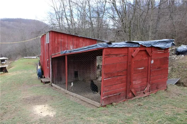 a view of a backyard