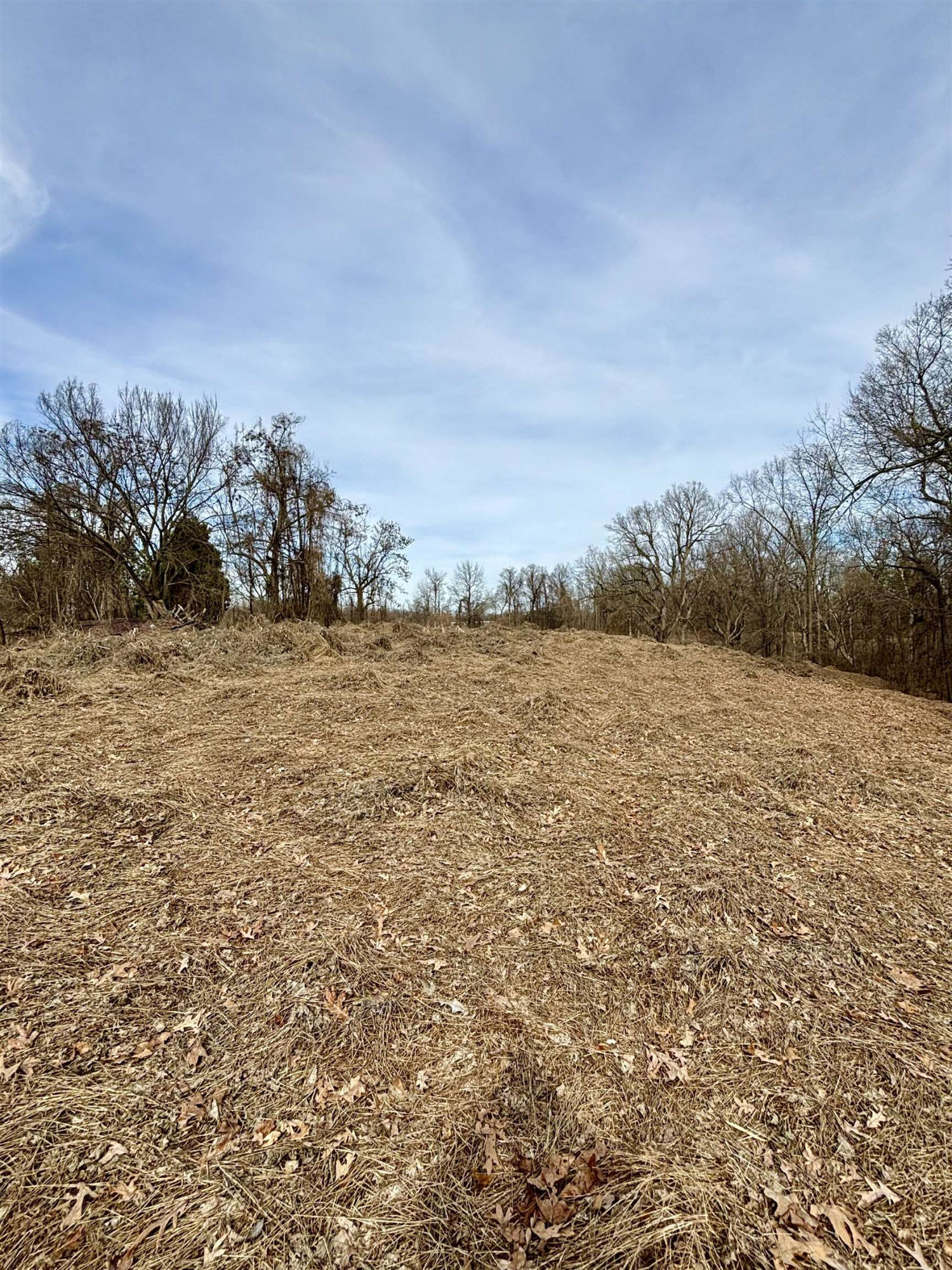 6855 Minnick Elbridge Road Obion, TN 38240 - Photo 2 of 3 a view of ocean view