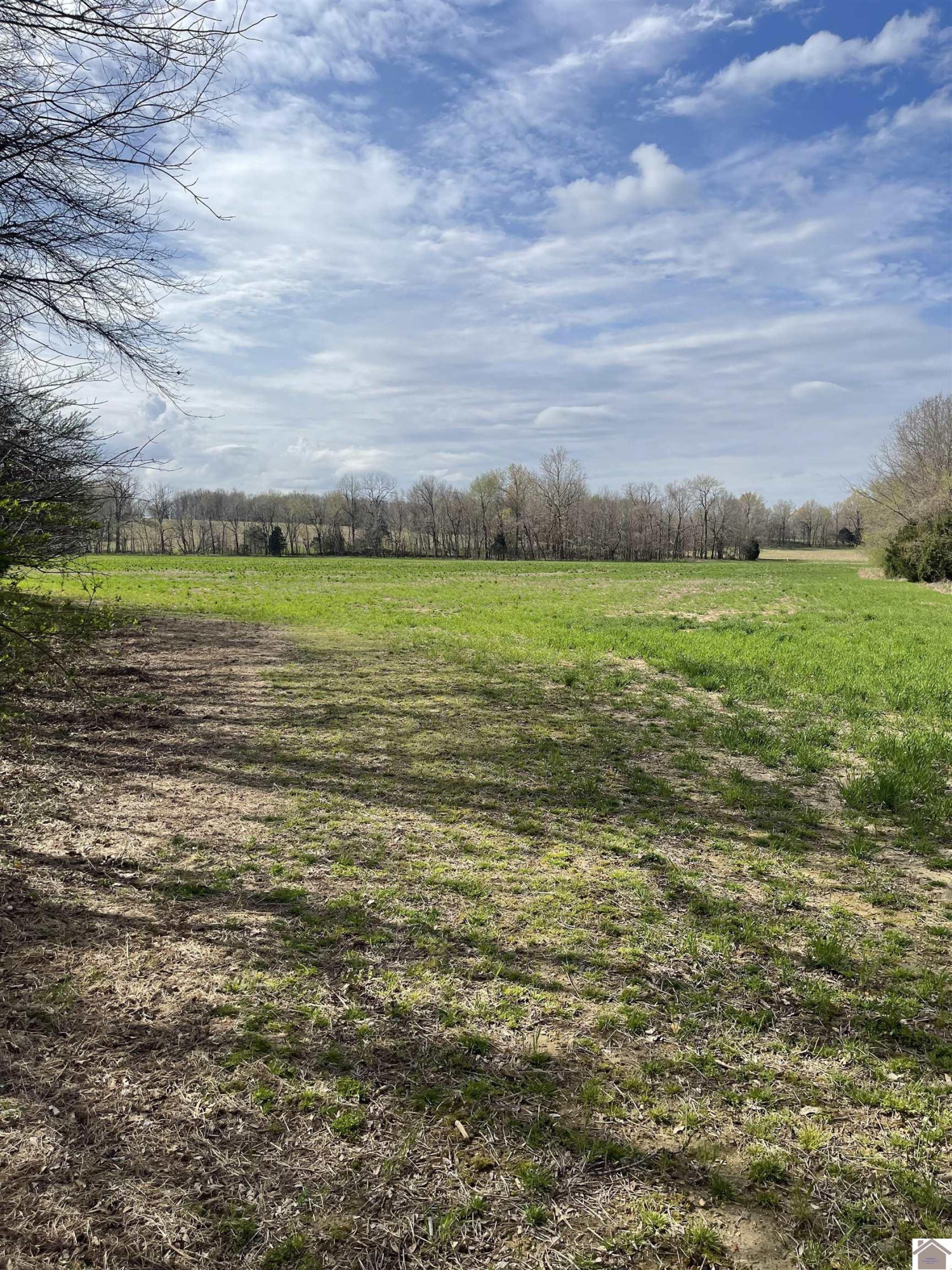 1955 West Slaughter Road Mayfield, KY 42066 - Photo 4 of 11 Photo 4