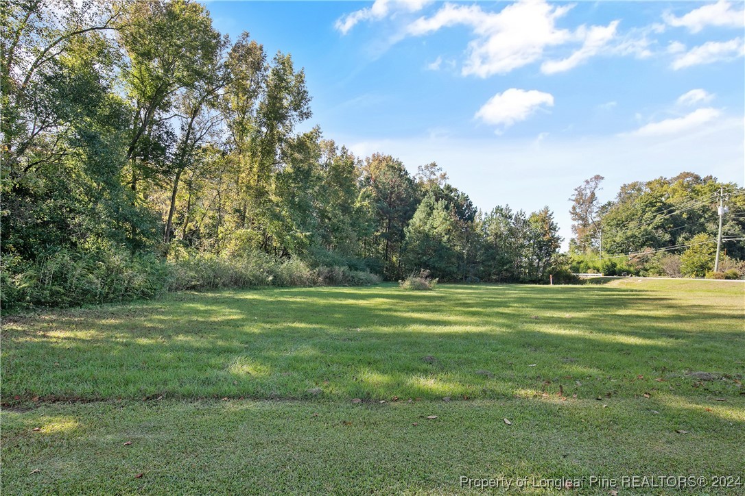 2870 Dunn Road Eastover, NC 28312 - Photo 45 of 48 Gallery Image 45