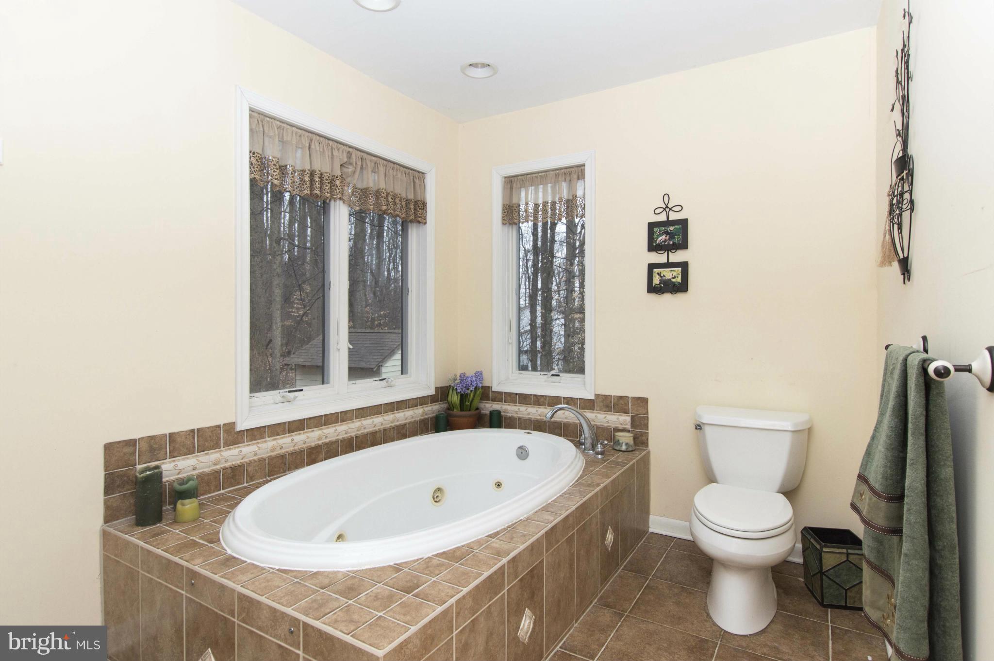 2801 Sandy Hook Road Forest Hill, MD 21050 - Photo 17 of 30 Bath (Master)