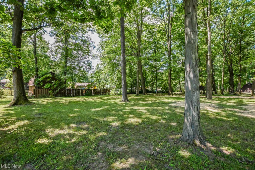 1162 Ledgeview Road Macedonia, OH 44056 - Photo 29 of 35 Backyard
