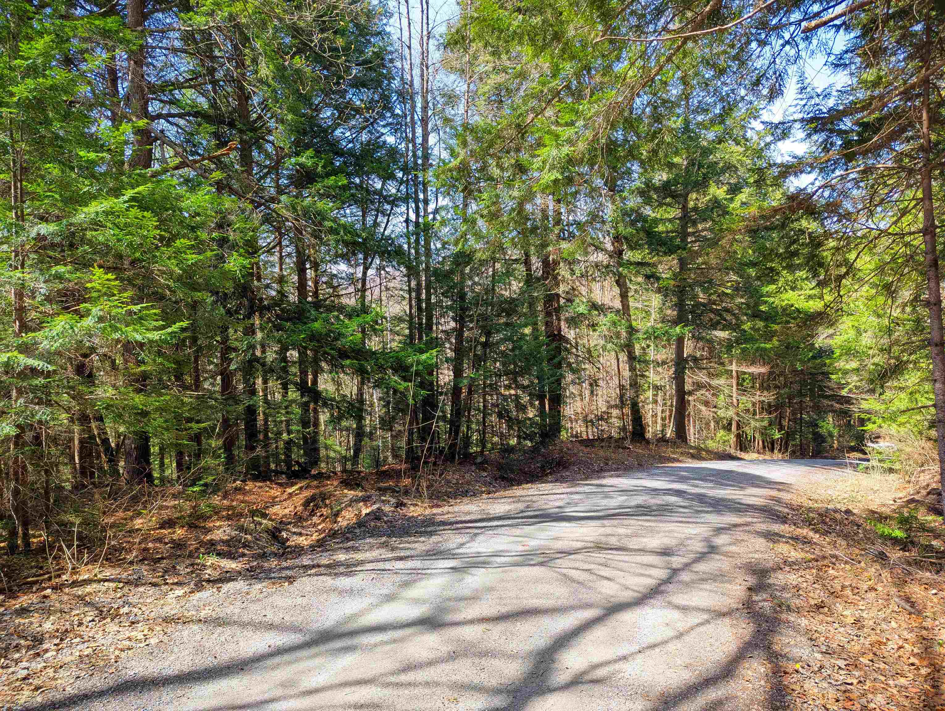 Vulture Mountain Road Stockbridge, VT 05772 - Photo 6 of 20