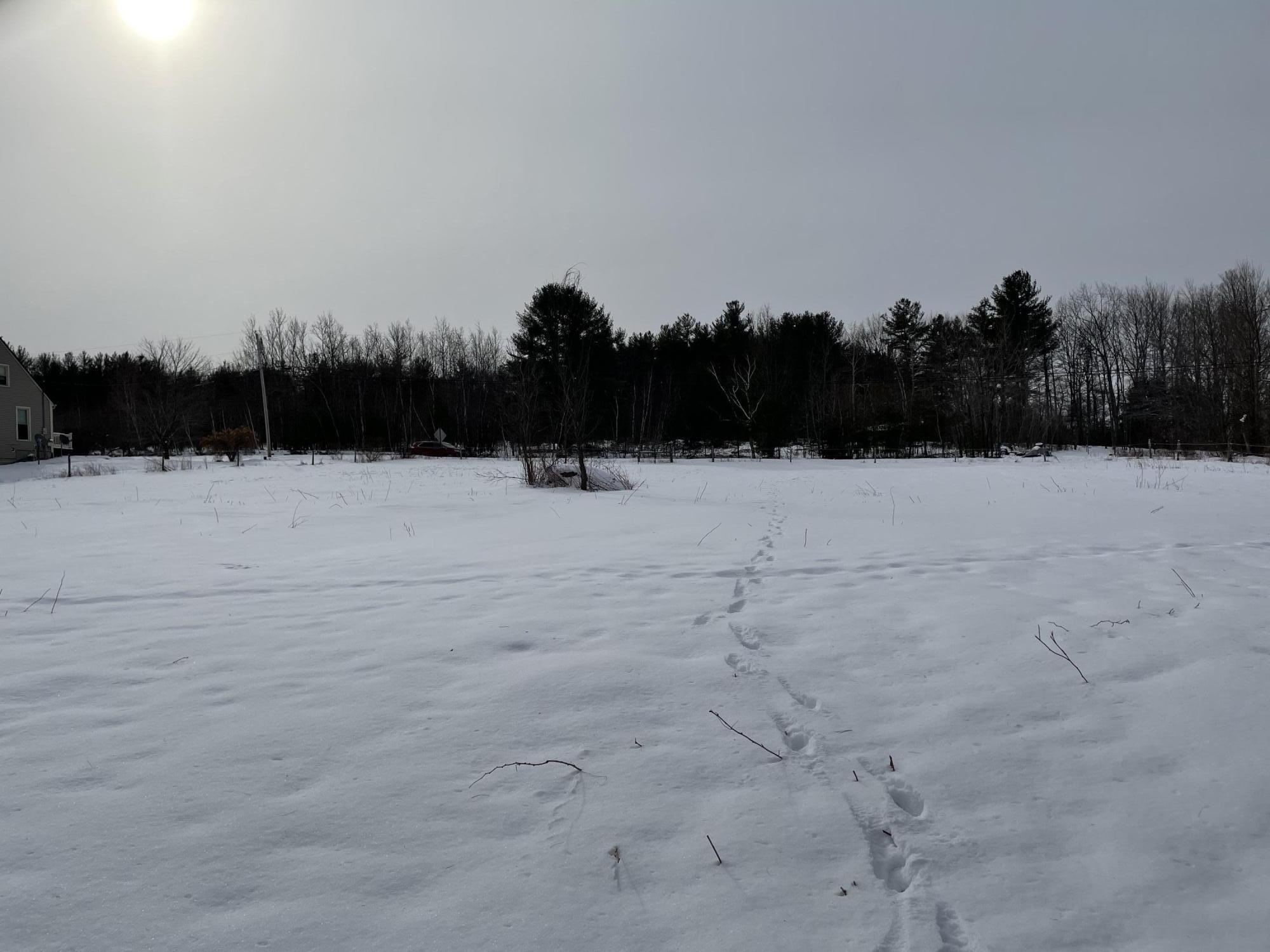 298 Scribner Hill Road Otisfield, ME 04270 - Photo 3 of 9 View from back of lot