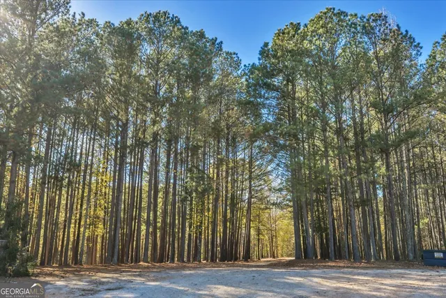 $4,000,000 | 2079 Highway 85, Senoia, GA 30276