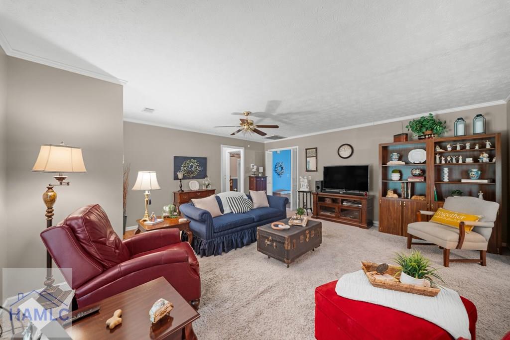 3058 Old Eighty Road Millen, GA 30442 - Photo 6 of 33 Gallery Image 6