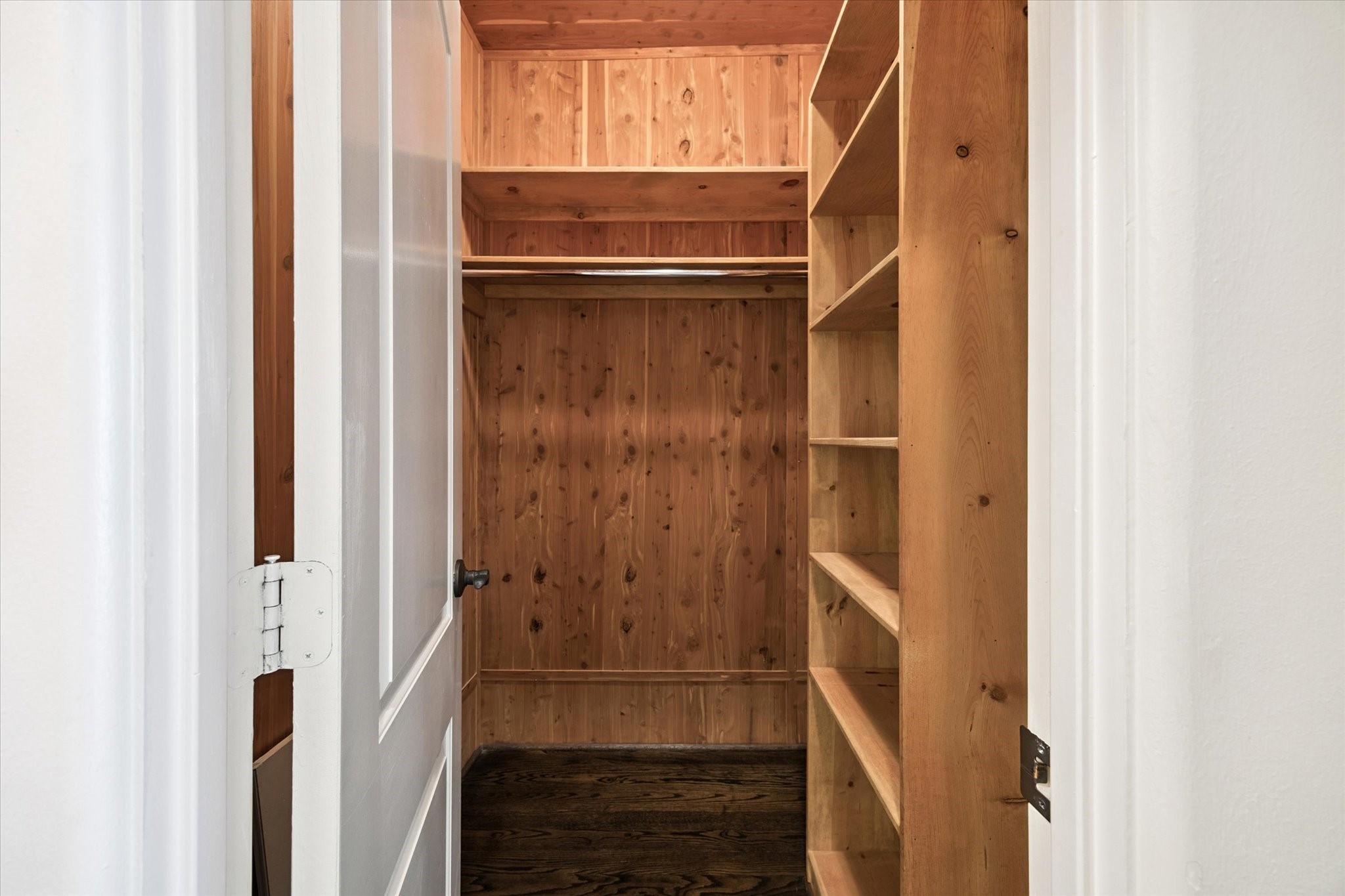 2145 Fairview Street Houston, TX 77019 - Photo 49 of 50 Cedar Closet for all of your special items