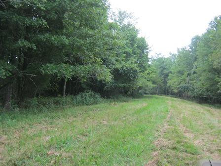 1354 Birdie Road Lawrenceburg, KY 40342 - Photo 41 of 55 Photo 41