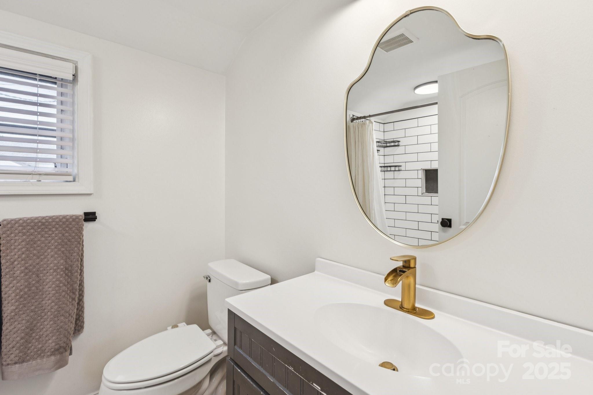 1225 Liberty Road Chester, SC 29706 - Photo 20 of 37 a bathroom with a sink a toilet and a mirror