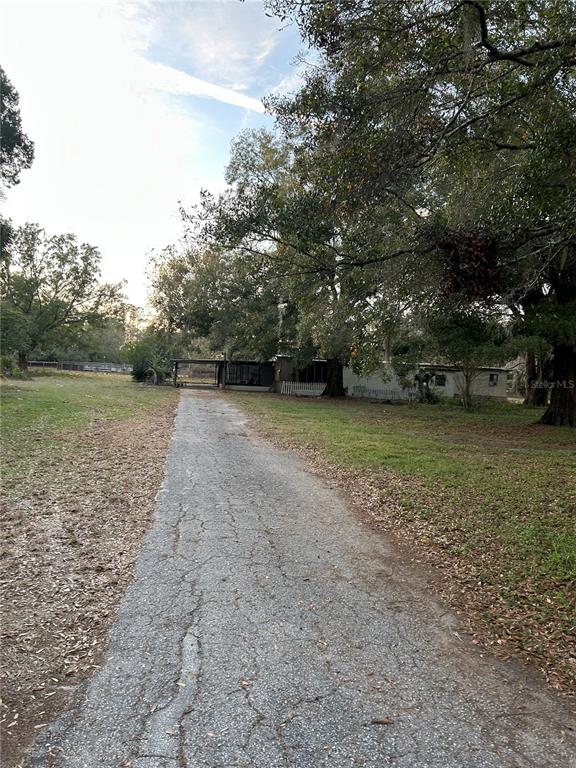 3633 Apfel Road Wesley Chapel, FL 33543 - Photo 2 of 30