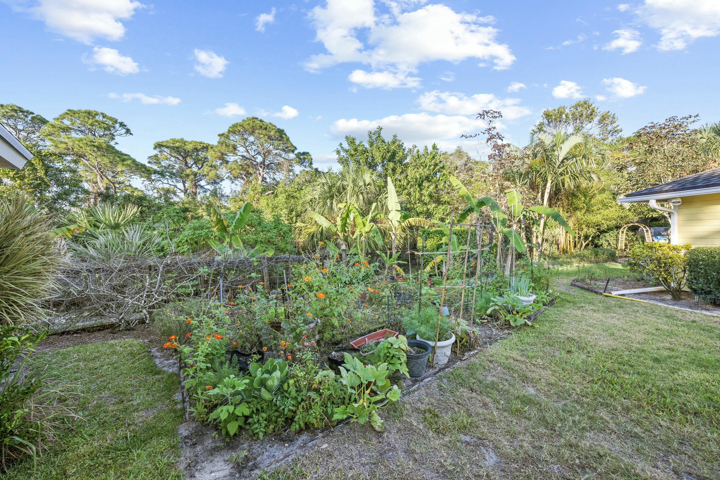 19077 Southeast County Line Road Jupiter, FL 33469 - Photo 58 of 74 Garden