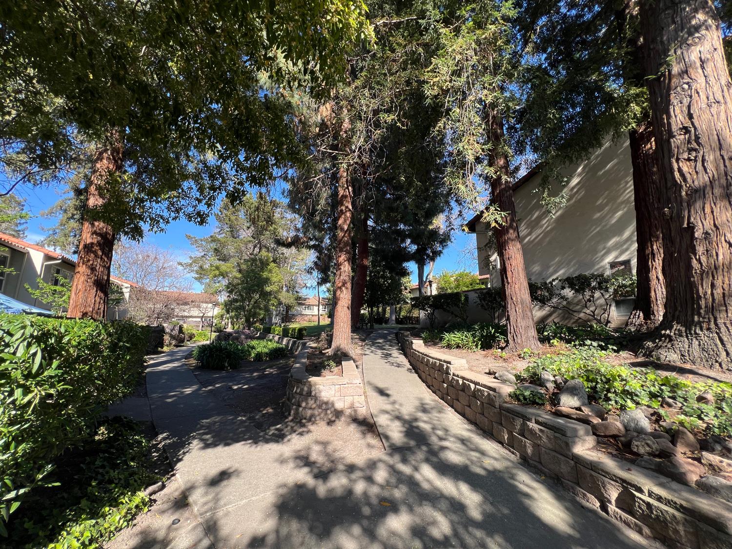 41016 Cornac Terrace Fremont, CA 94539 - Photo 17 of 24