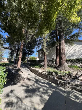 a view of backyard of garage