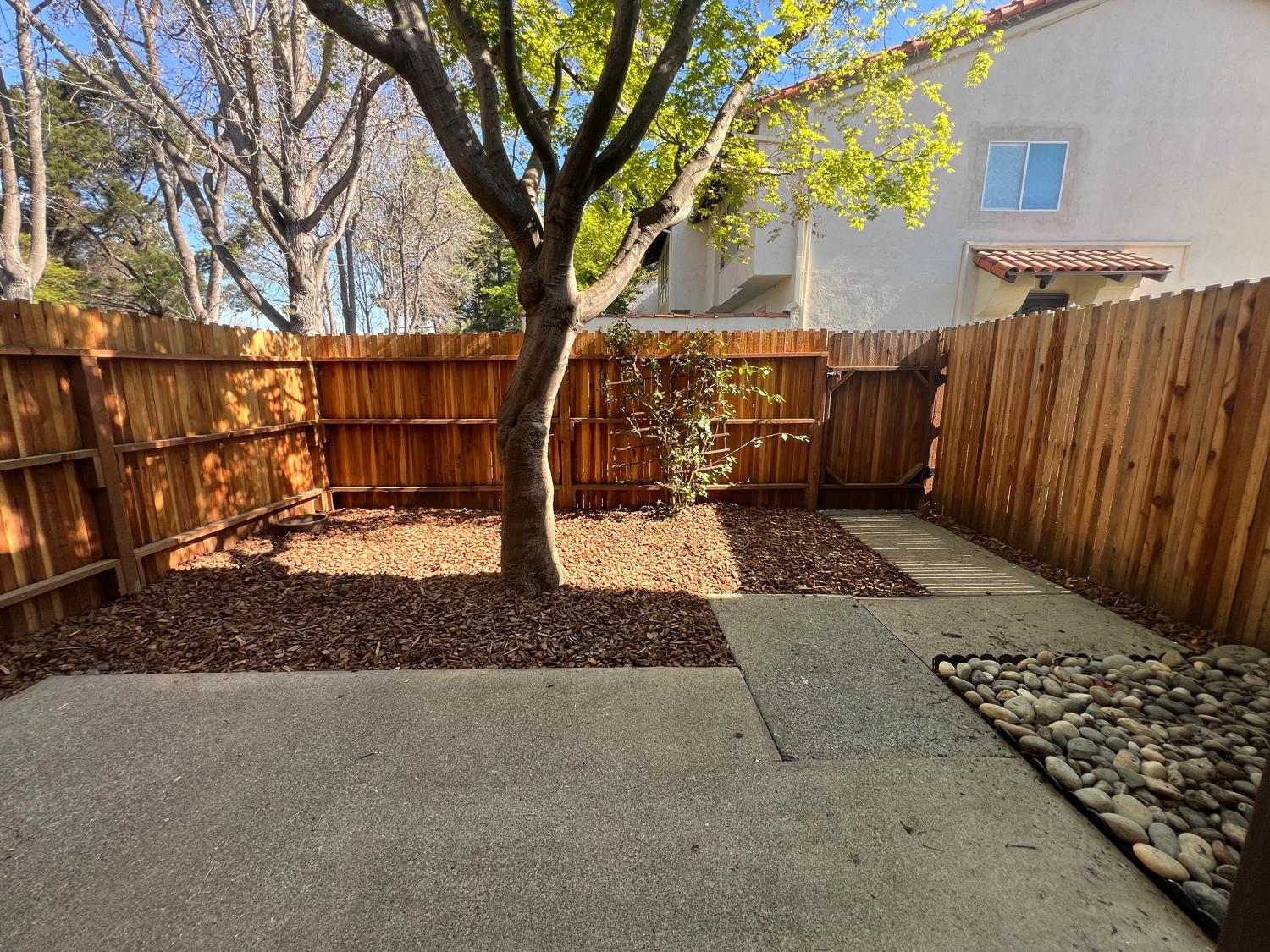 41016 Cornac Terrace Fremont, CA 94539 - Photo 22 of 24 a view of a yard with wooden fence