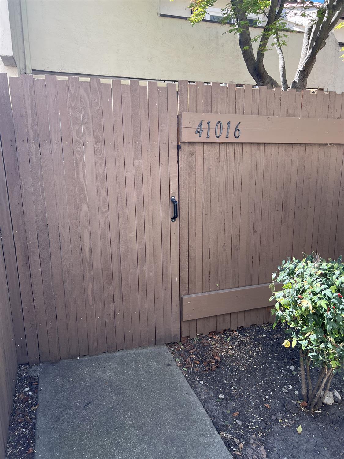 41016 Cornac Terrace Fremont, CA 94539 - Photo 5 of 24 a view of a potted plant with a wooden fence