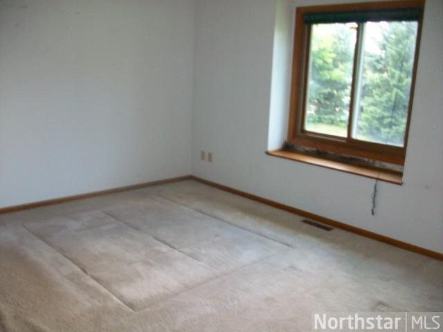 8357 116th Way North Champlin, MN 55316 - Photo 8 of 18