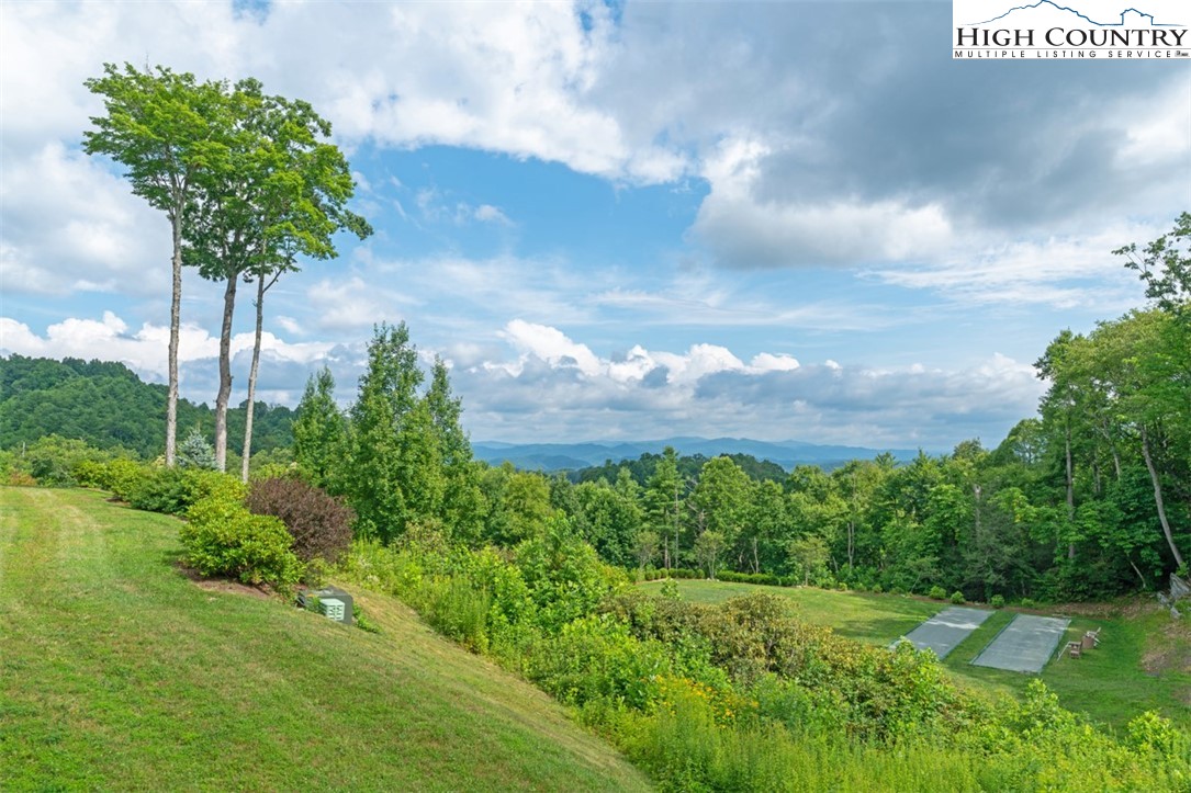 116 Red Tail Summit, Unit CJ2 Boone, NC 28607 - Photo 20 of 45 Gallery Image 20