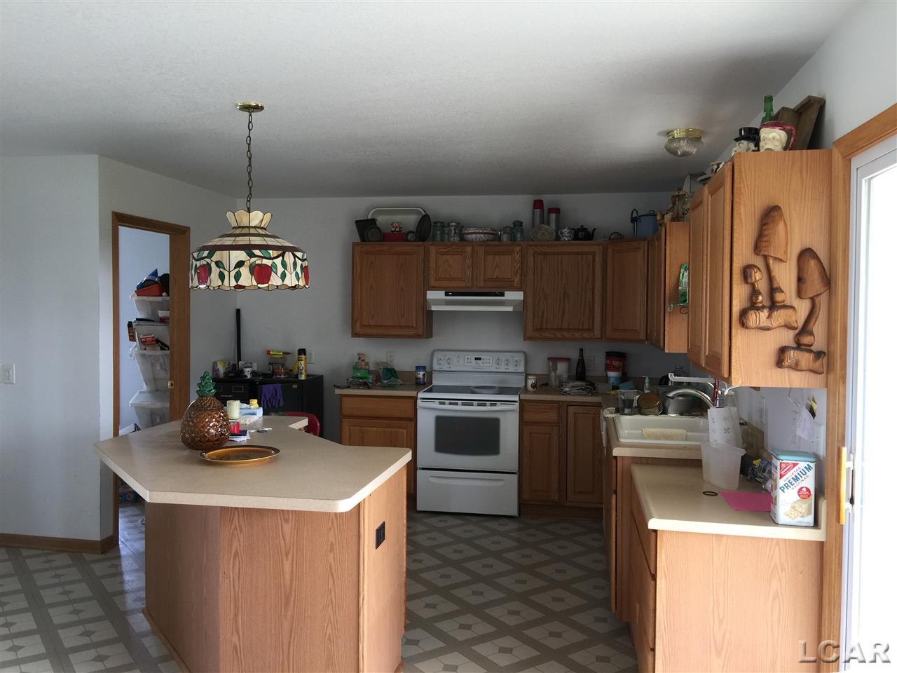 3232 Gorman Road Sand Creek, MI 49279 - Photo 10 of 29 Gallery Image 10
