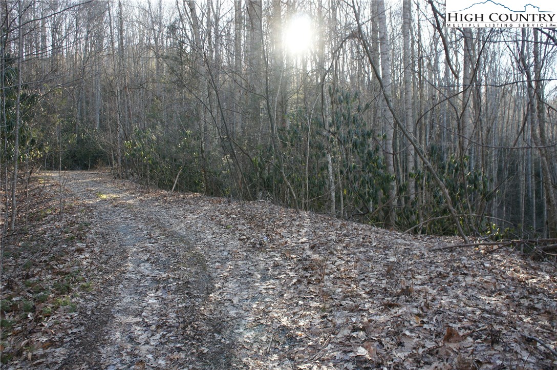 Rocky Road Sugar Grove, NC 28679 - Photo 5 of 16