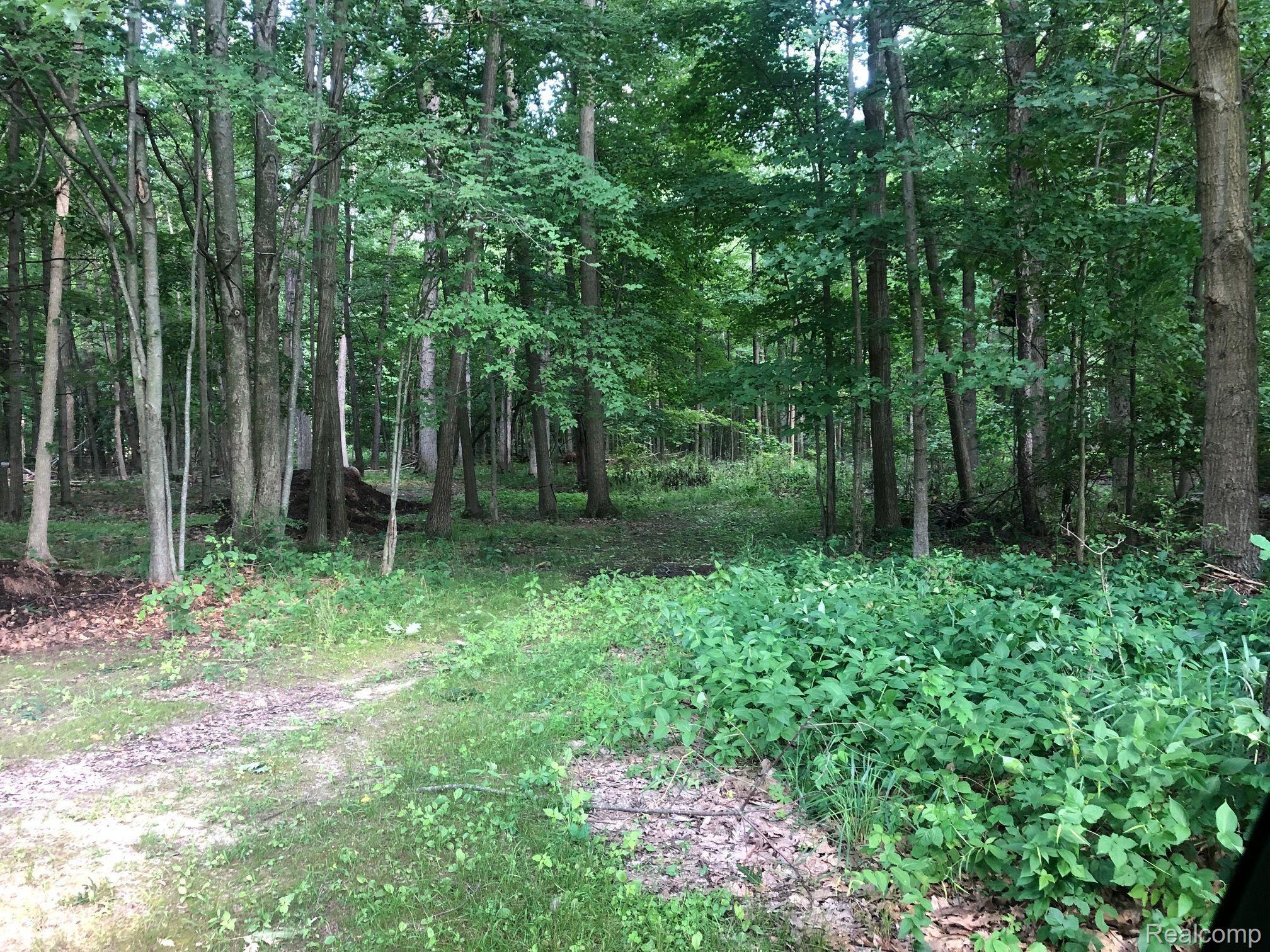 4275 Blood Road Metamora, MI 48455 - Photo 56 of 86 Gallery Image 56
