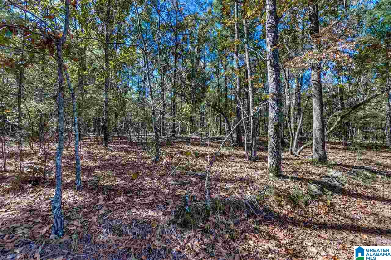 384 Wolf Pond Road, Unit 1 Talladega, AL 35160 - Photo 18 of 26