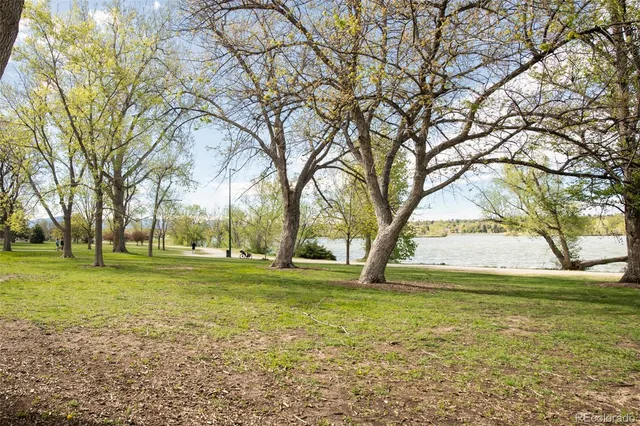 a view of a field with a tree in the background