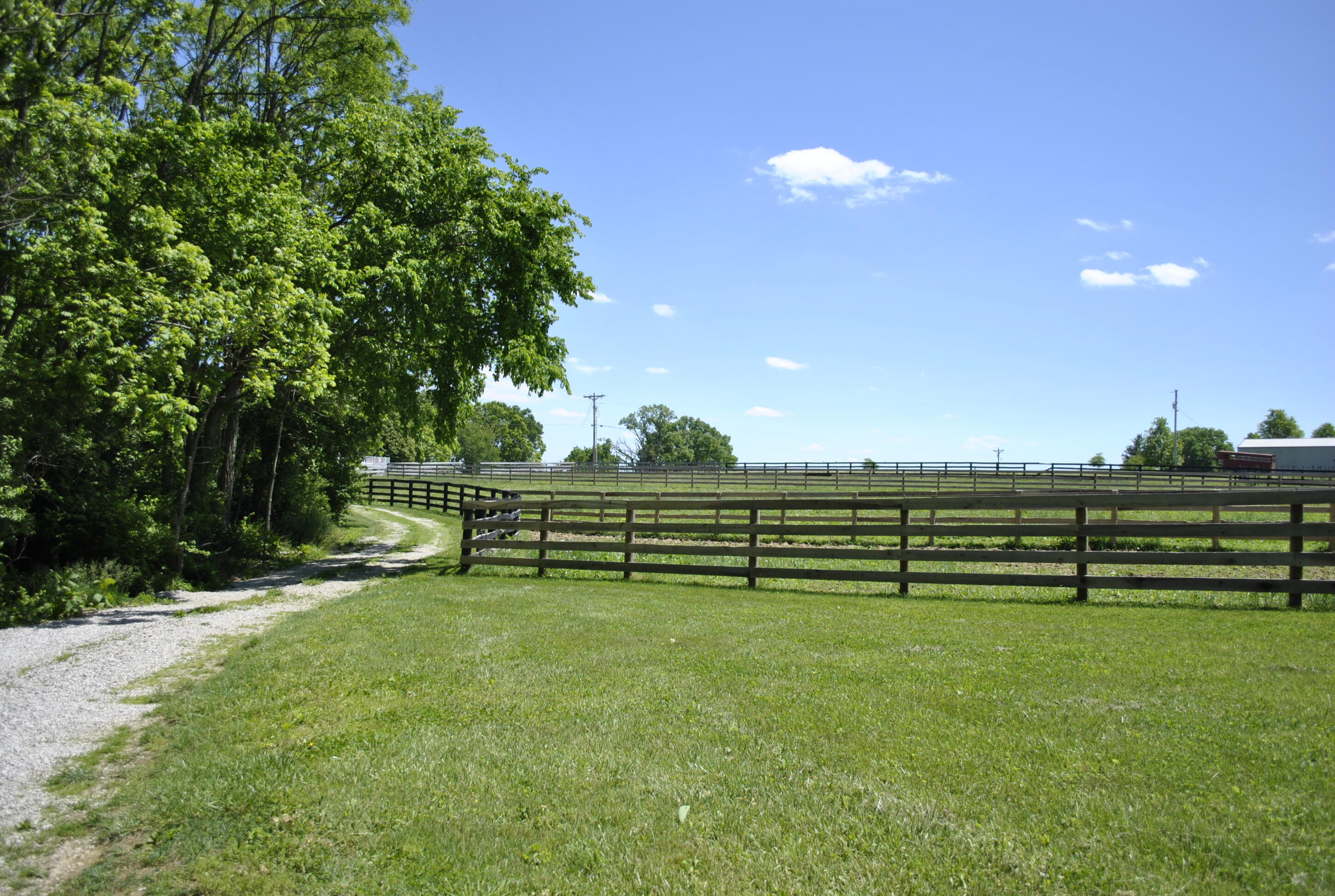 337 Collins Road Paris, KY 40361 - Photo 95 of 96 _DSC8785