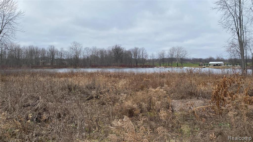 75985 Van Dyke Romeo, MI 48065 - Photo 4 of 7