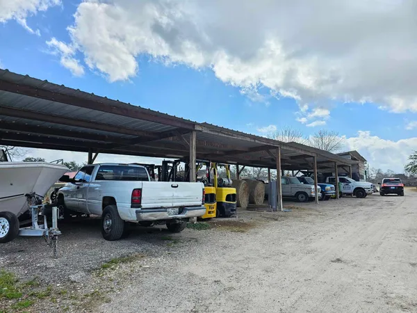 a view of a park with large trees