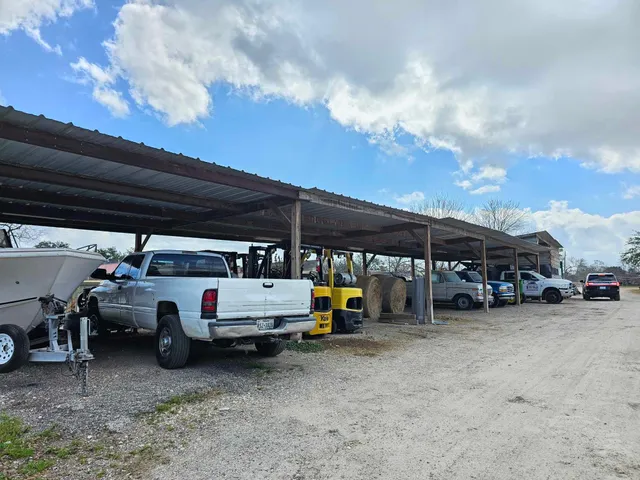 a view of a park with large trees
