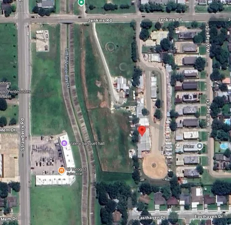 a picture of red tree