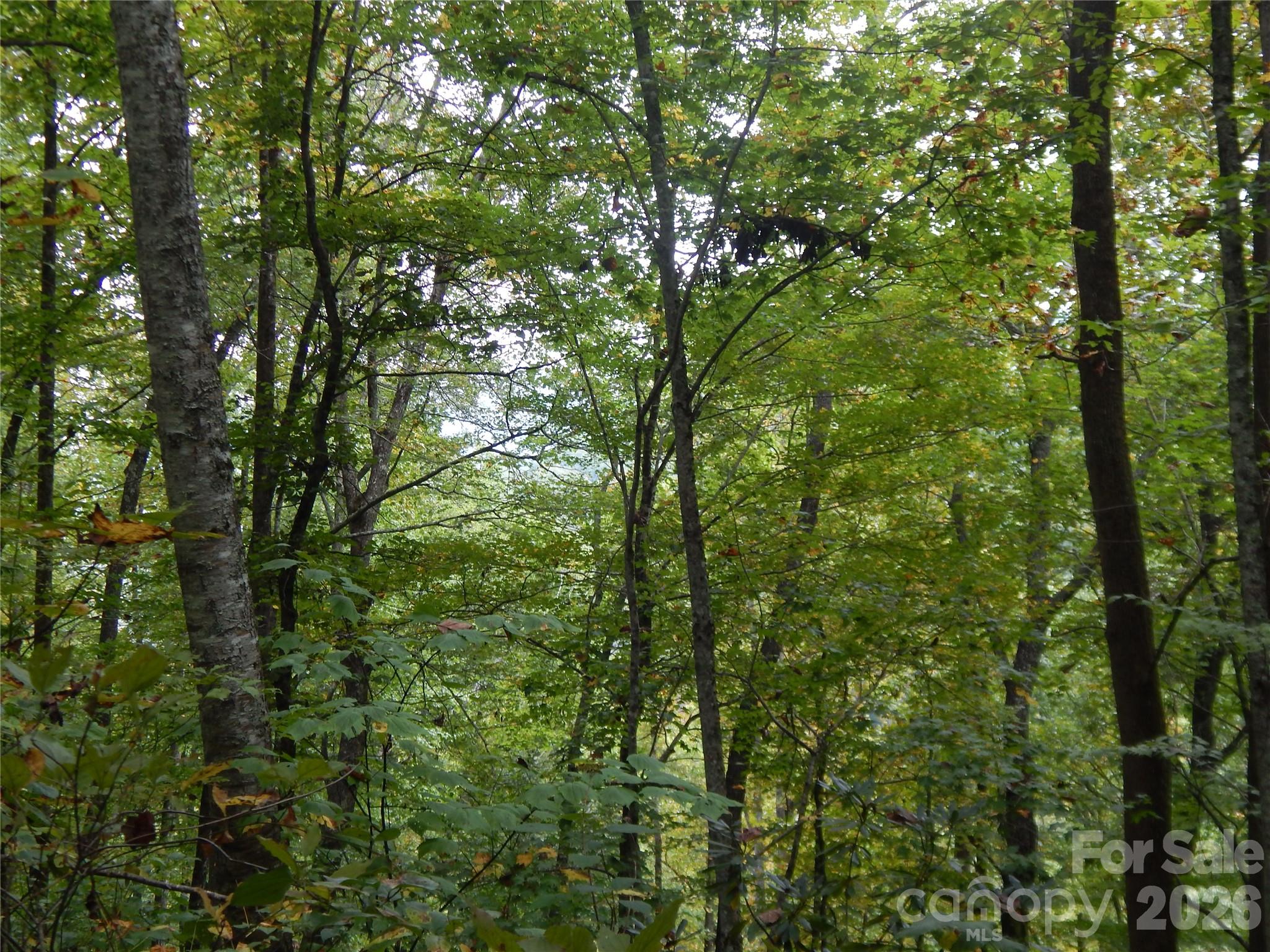 0 Henry Road Sylva, NC 28779 - Photo 25 of 25 Gallery Image 25