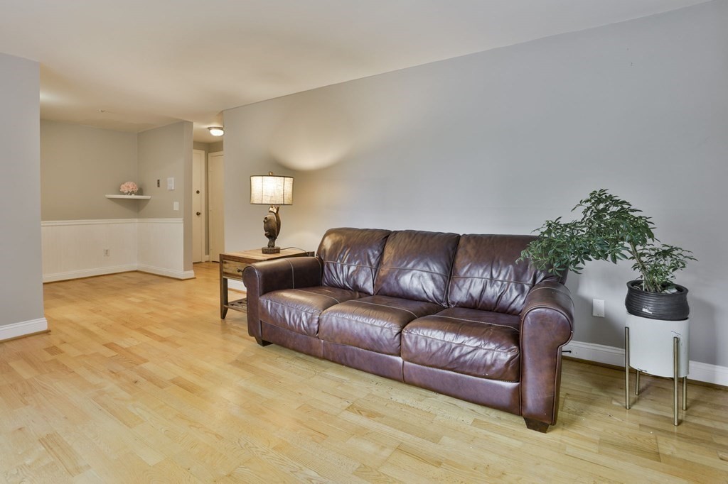 56 Leonard Road, Unit 56 Boxborough, MA 01719 - Photo 2 of 26 a living room with a couch and a potted plant