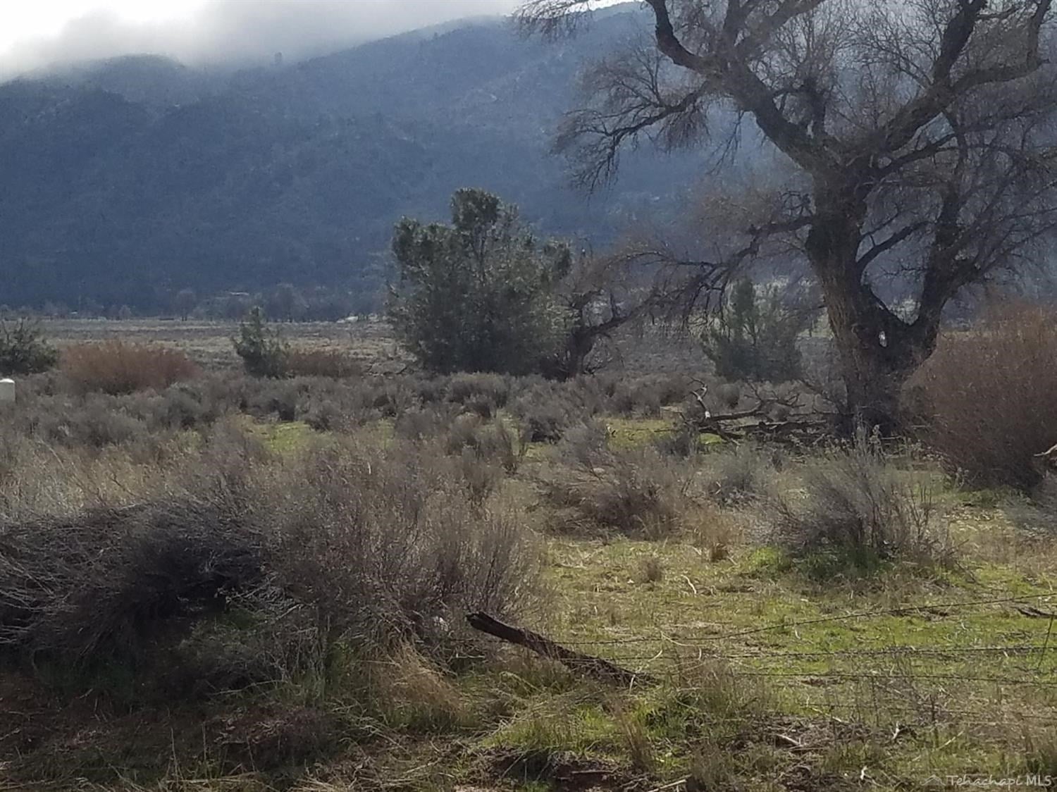 0 Walker Basin Road Caliente, CA 93518 - Photo 3 of 10 Gallery Image 3