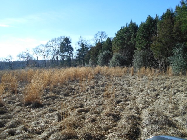Tbd Tbd Fm-2712 Crockett, TX 75835 - Photo 11 of 15 a view of a lake with trees in the background