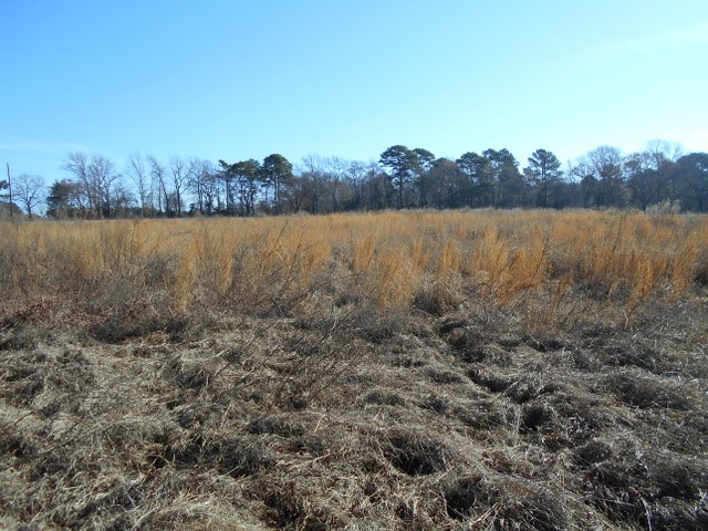 Tbd Tbd Fm-2712 Crockett, TX 75835 - Photo 12 of 15 a view of a lake with houses in the back