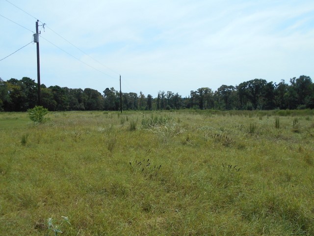 Tbd Tbd Fm-2712 Crockett, TX 75835 - Photo 2 of 15 a view of a field with a tree in the background