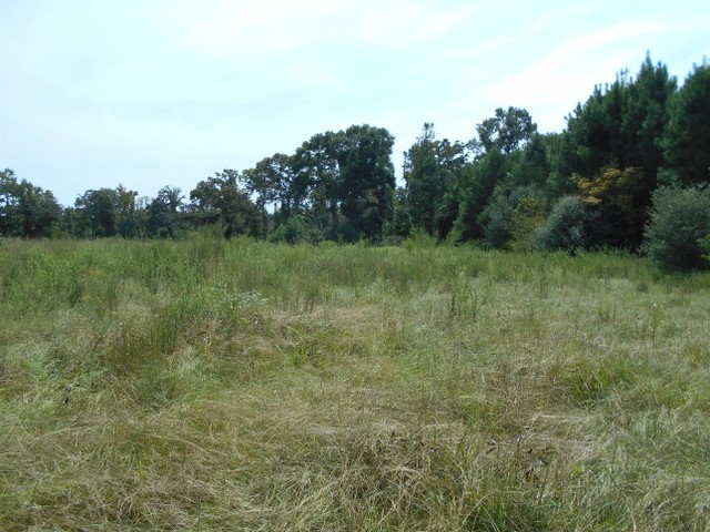 Tbd Tbd Fm-2712 Crockett, TX 75835 - Photo 4 of 15 a view of a field with trees in the background