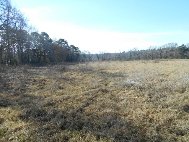 Tbd Tbd Fm-2712 Crockett, TX 75835 - Photo 8 of 15 a view of lake with mountain