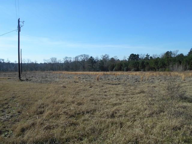 Tbd Tbd Fm-2712 Crockett, TX 75835 - Photo 9 of 15 a view of a field with a tree in the background